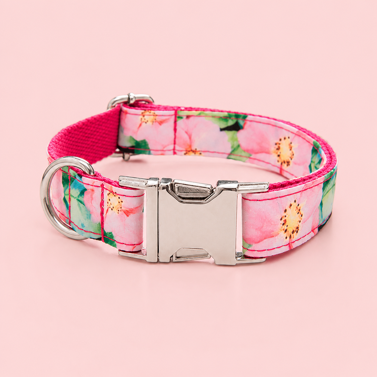 Adjustable Patterned Dog Collar with Gold Metal Buckle