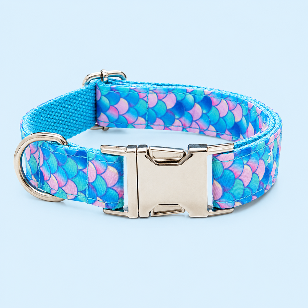 Designer Printed Dog Collar with Adjustable Fit &amp; Metal Buckle