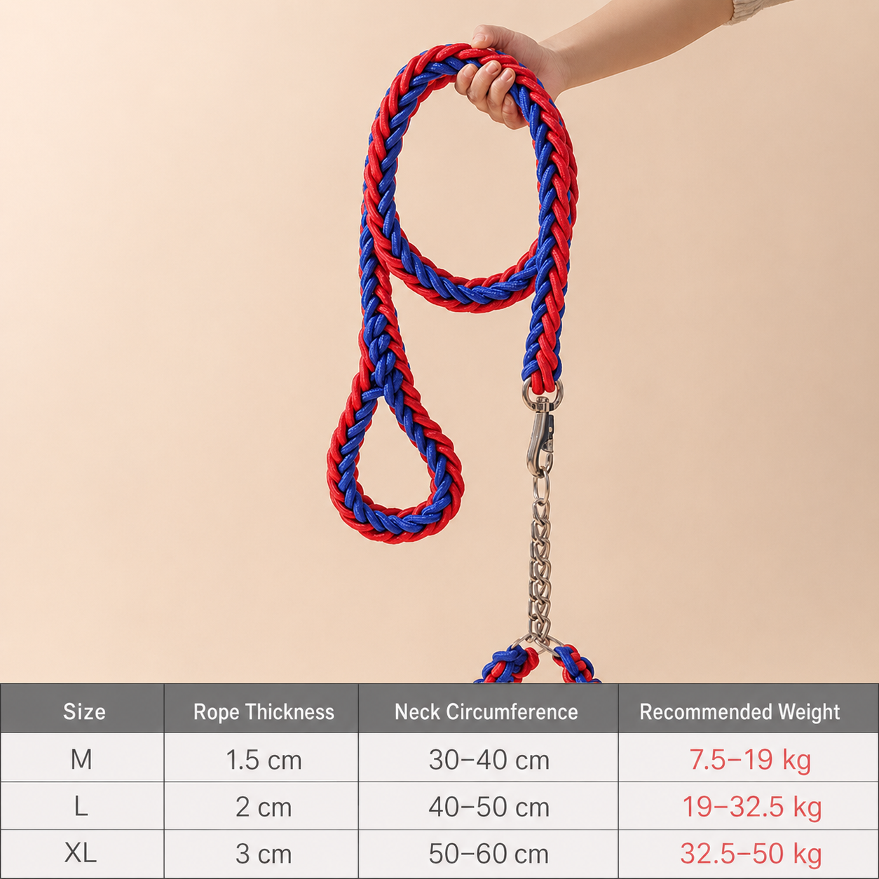 Heavy-Duty Braided Dog Leash & Slip Collar Set – 8-Strand Anti-Pull Rope