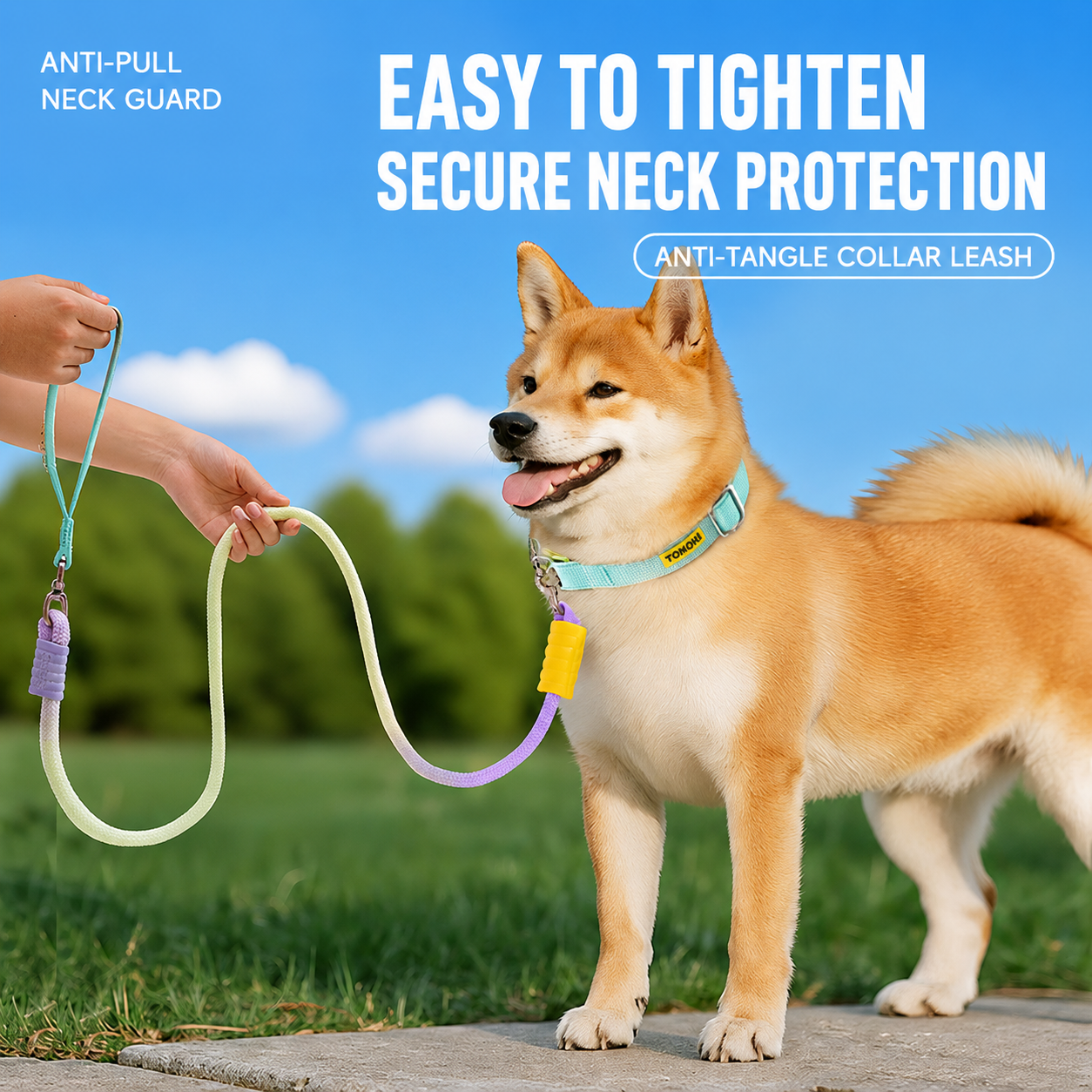 Adjustable Anti-Pull Dog Collar & Gradient Rope Leash Set – 1.2m Comfortable Walking Lead