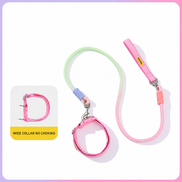 Adjustable Anti-Pull Dog Collar & Gradient Rope Leash Set – 1.2m Comfortable Walking Lead