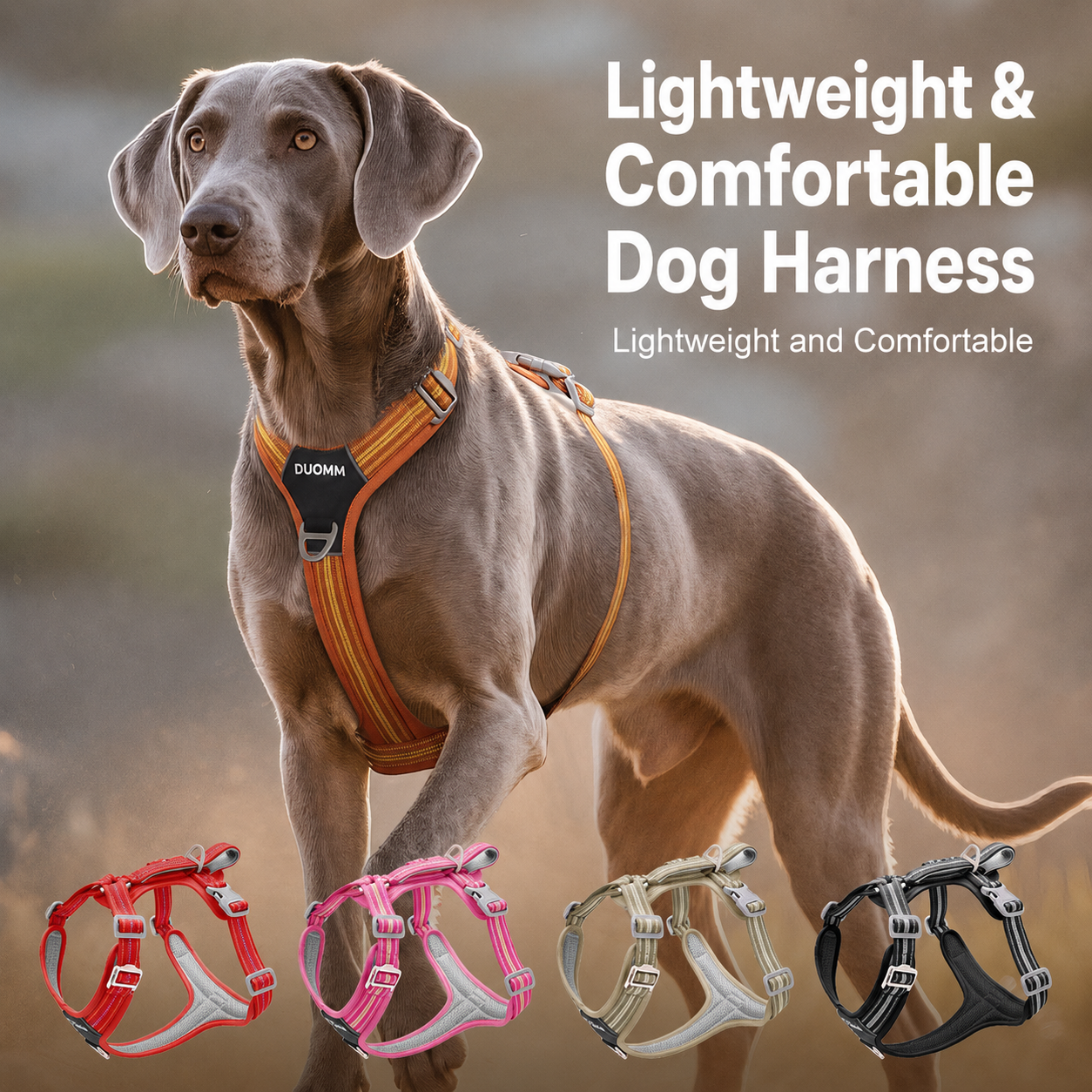Water-Resistant No-Pull Dog Harness & Leash Set – Reflective Adjustable Walking Harness for Dogs