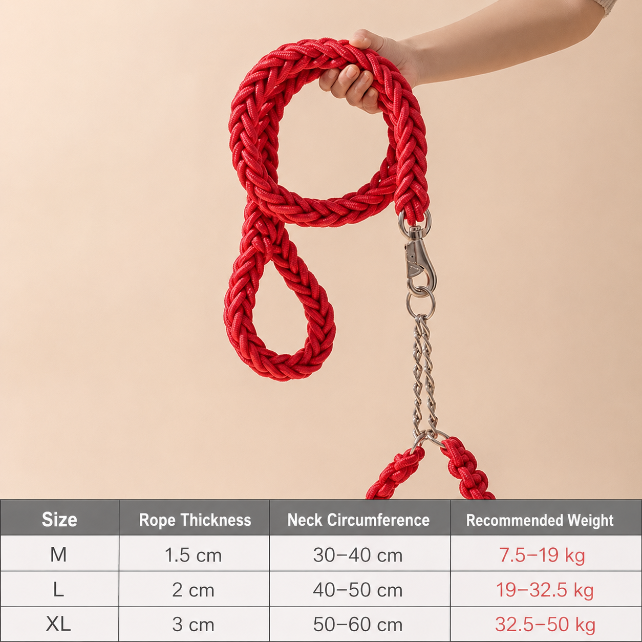 Heavy-Duty Braided Dog Leash & Slip Collar Set – 8-Strand Anti-Pull Rope