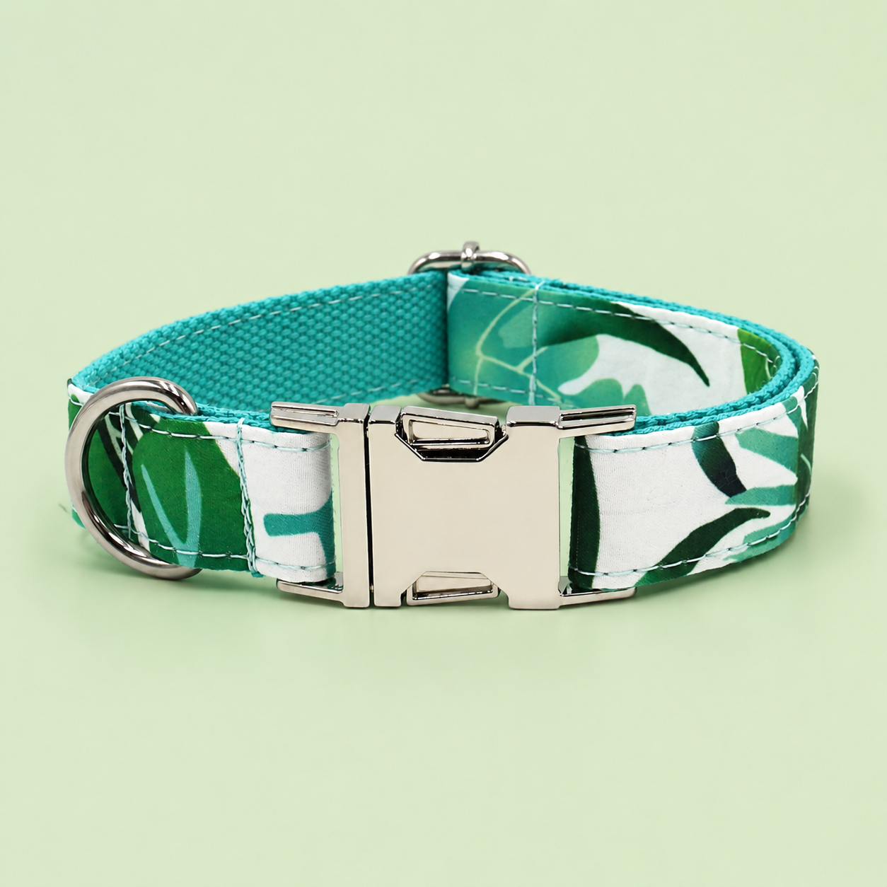 Adjustable Patterned Dog Collar with Gold Metal Buckle