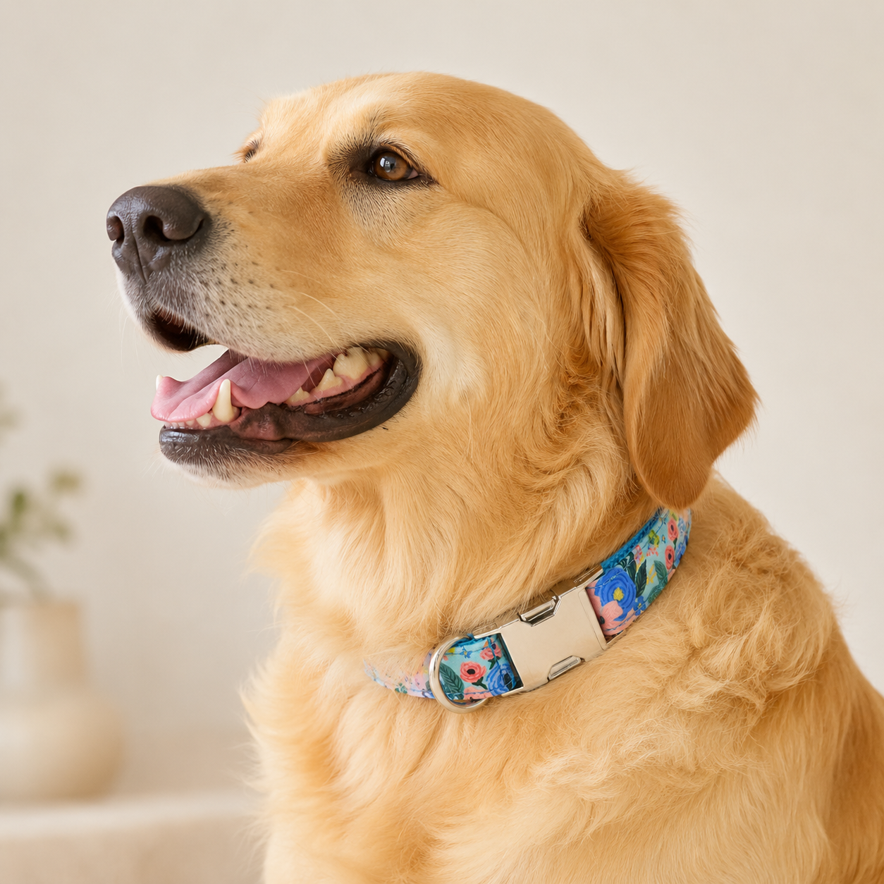 Adjustable Printed Dog Collar with Metal Buckle – Soft Fabric Collar for Small to Large Dogs
