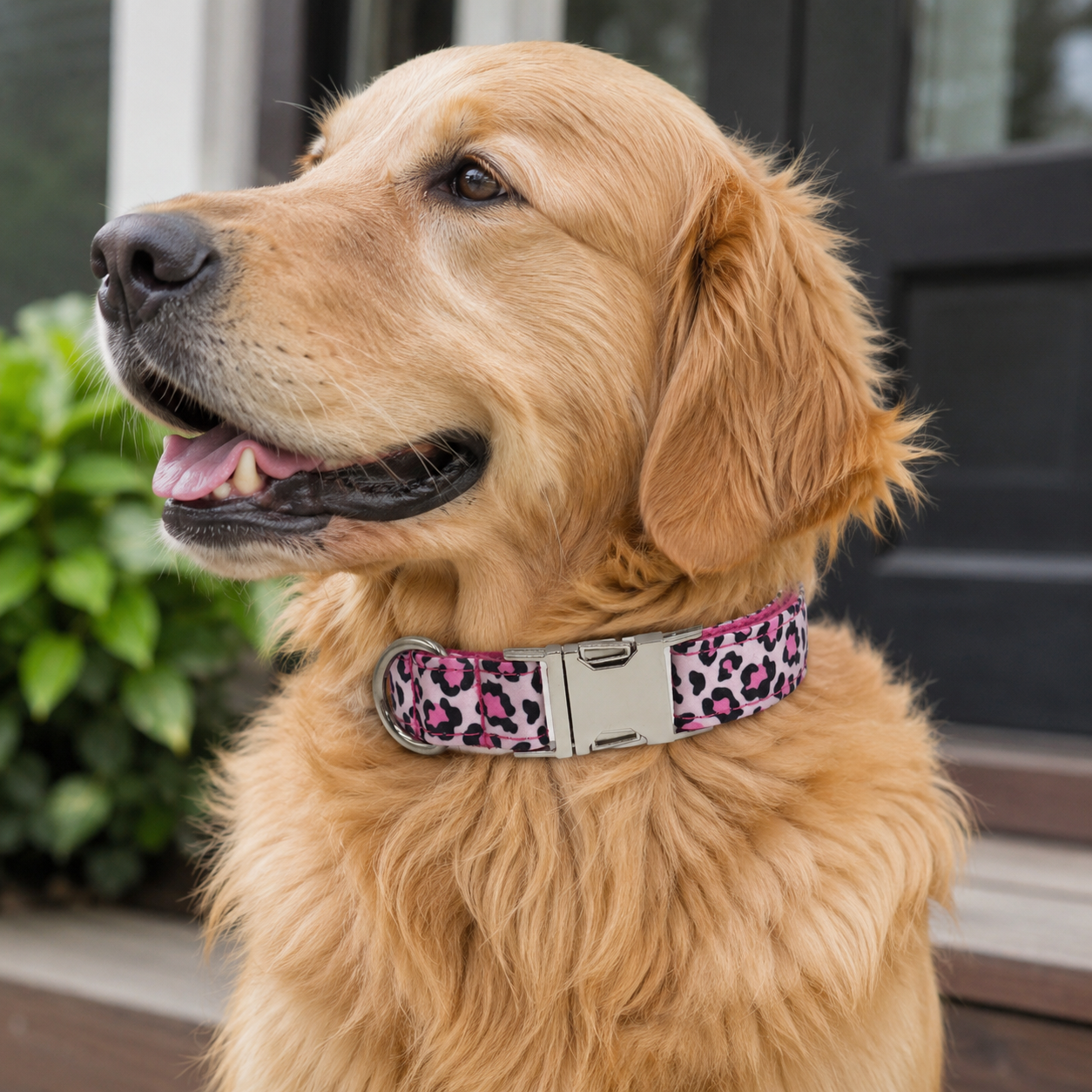 Floral Print Adjustable Dog Collar with Premium Metal Buckle