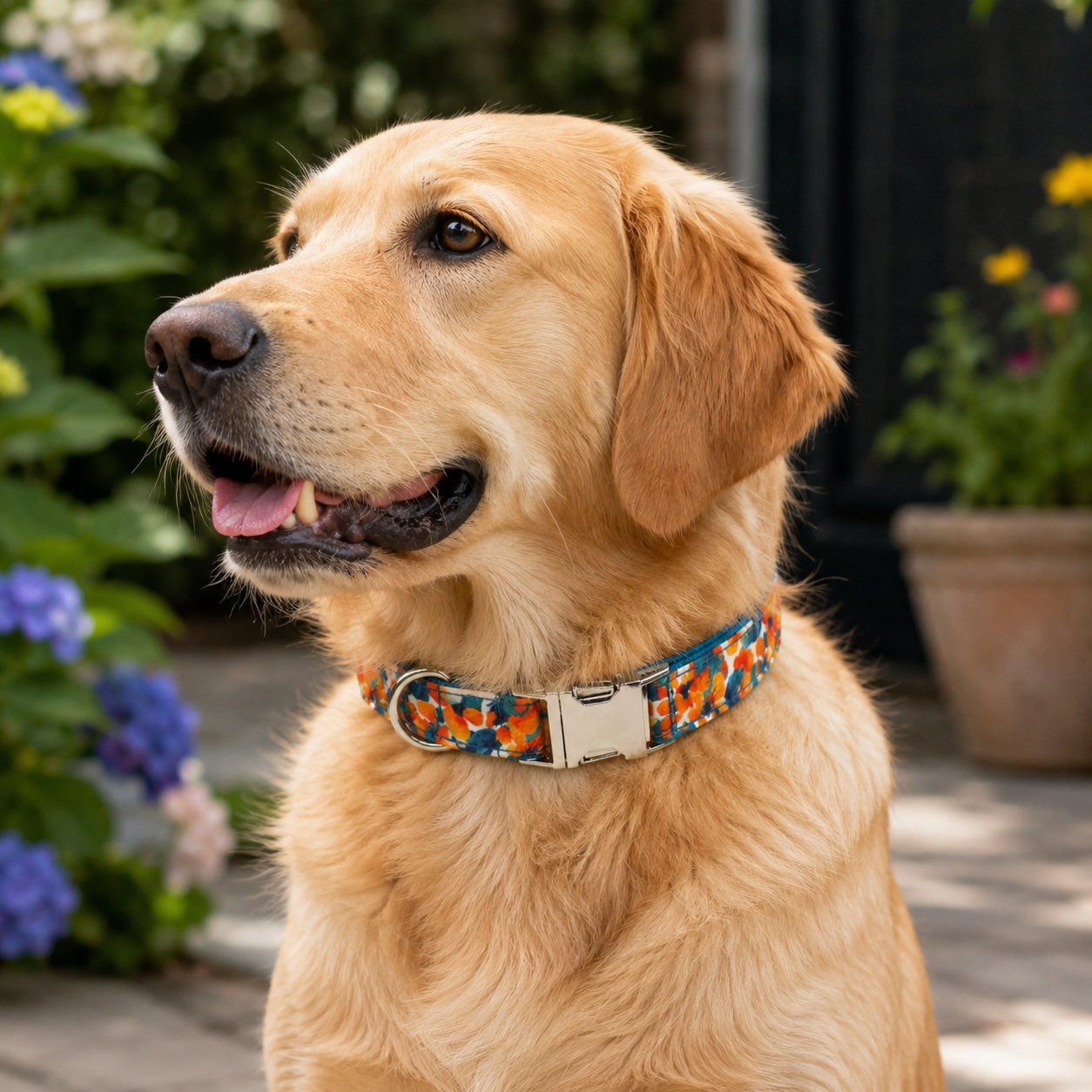 Adjustable Patterned Dog Collar with Gold Metal Buckle
