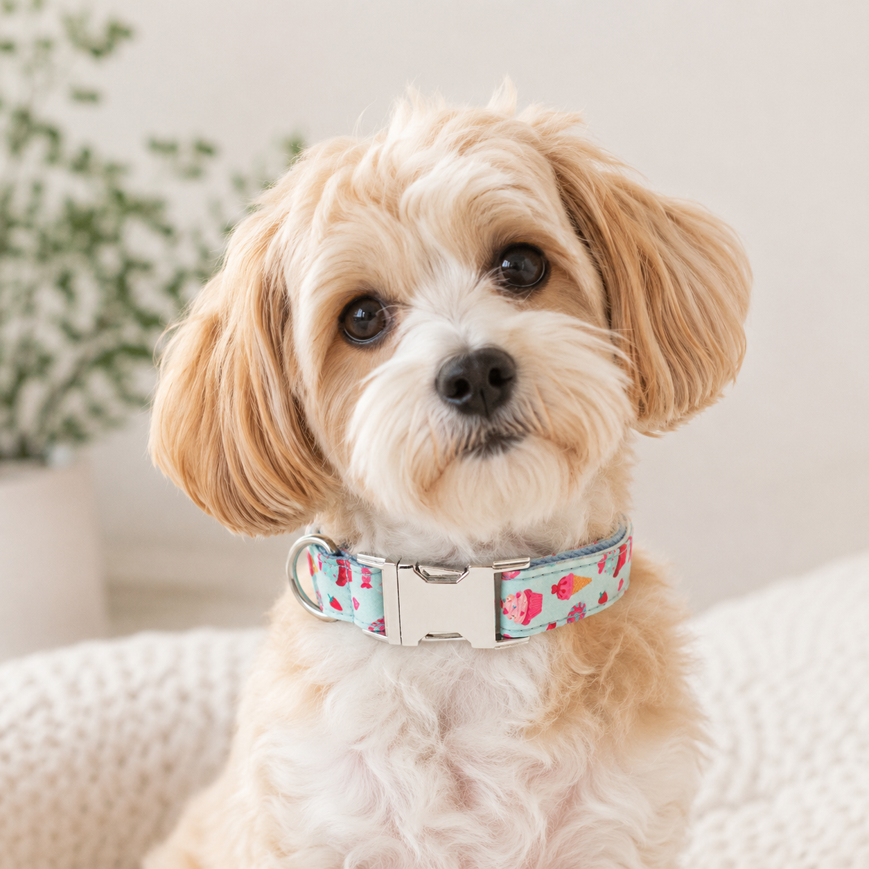 Adjustable Printed Dog Collar with Metal Buckle – Soft Fabric Collar for Small to Large Dogs