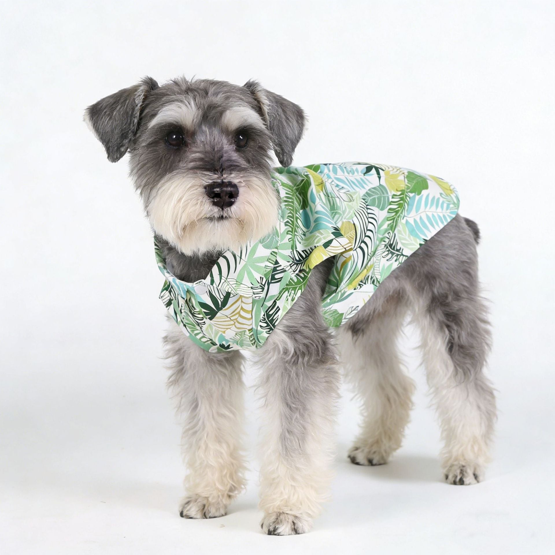 Tropical Print Summer Pet Shirt for Small & Medium Dogs