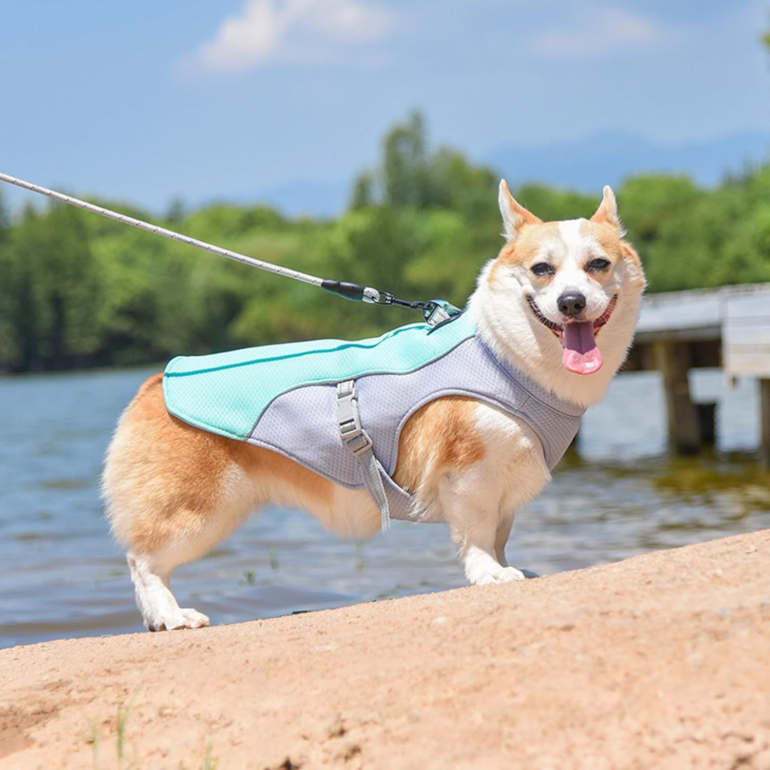 Breathable Dog Cooling Vest Harness – Lightweight Summer Heat Relief Jacket