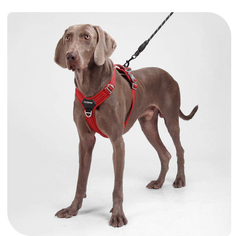 Water-Resistant No-Pull Dog Harness & Leash Set – Reflective Adjustable Walking Harness for Dogs