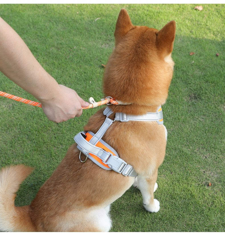 Adjustable Slip Lead Dog Leash – Lightweight Nylon Rope Training Leash with Stopper