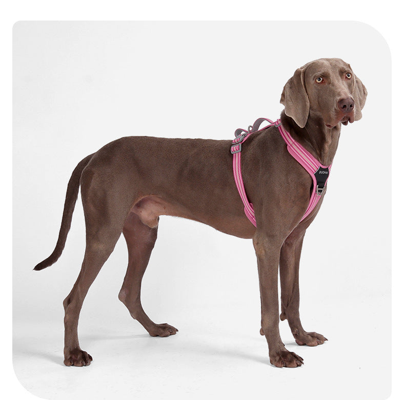 Water-Resistant No-Pull Dog Harness & Leash Set – Reflective Adjustable Walking Harness for Dogs