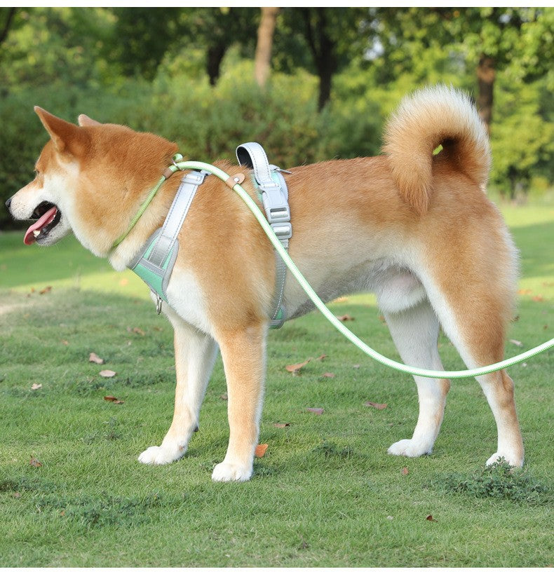 Adjustable Slip Lead Dog Leash – Lightweight Nylon Rope Training Leash with Stopper