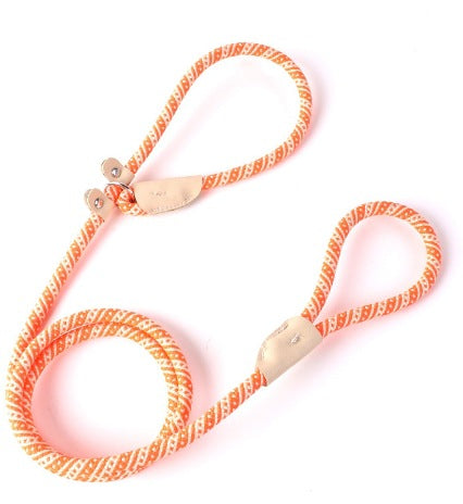 Adjustable Slip Lead Dog Leash – Lightweight Nylon Rope Training Leash with Stopper