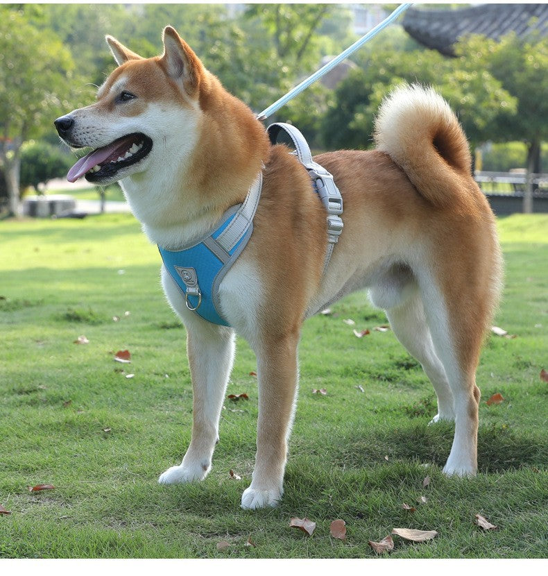 Adjustable Slip Lead Dog Leash – Lightweight Nylon Rope Training Leash with Stopper
