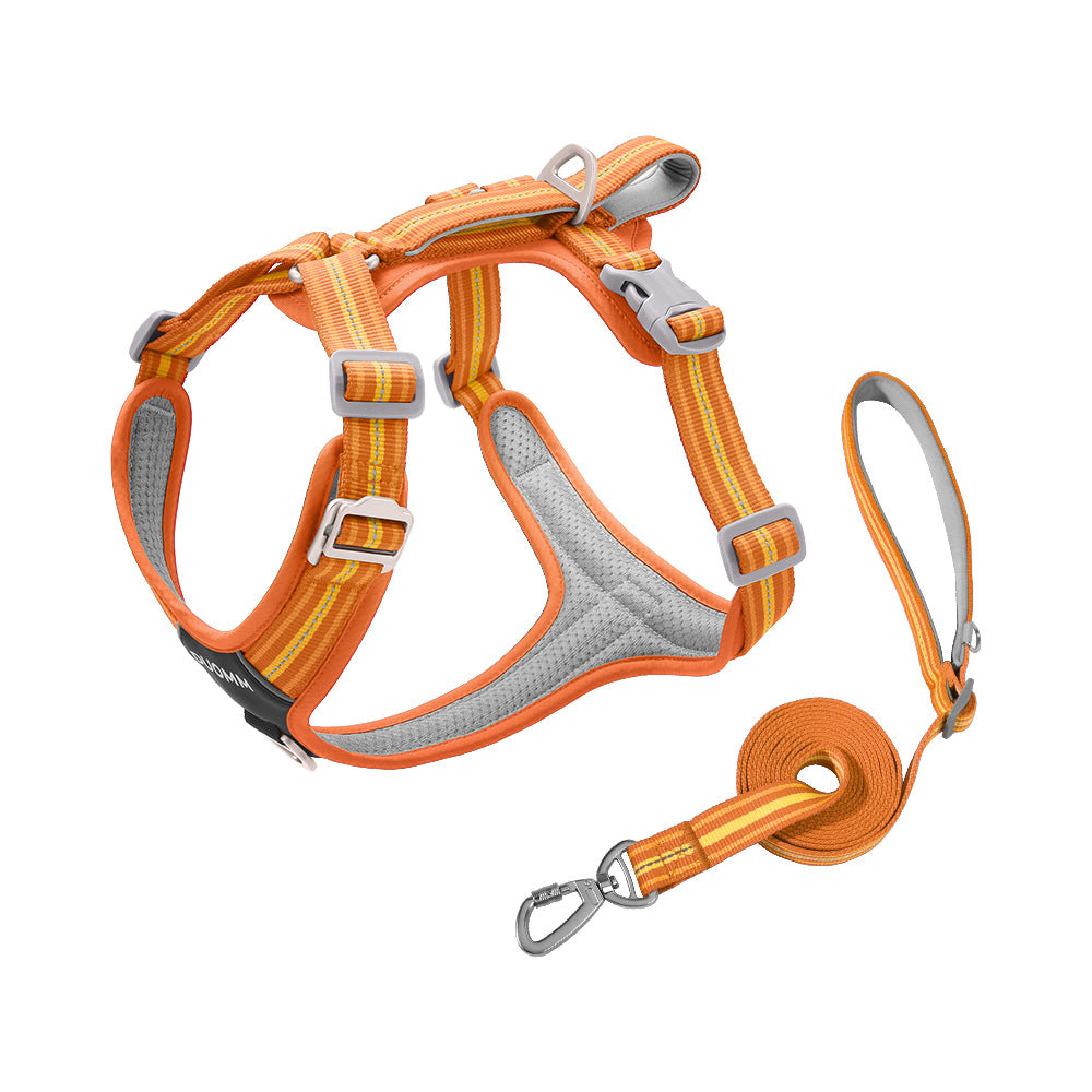 Water-Resistant No-Pull Dog Harness & Leash Set – Reflective Adjustable Walking Harness for Dogs