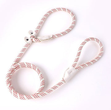 Adjustable Slip Lead Dog Leash – Lightweight Nylon Rope Training Leash with Stopper