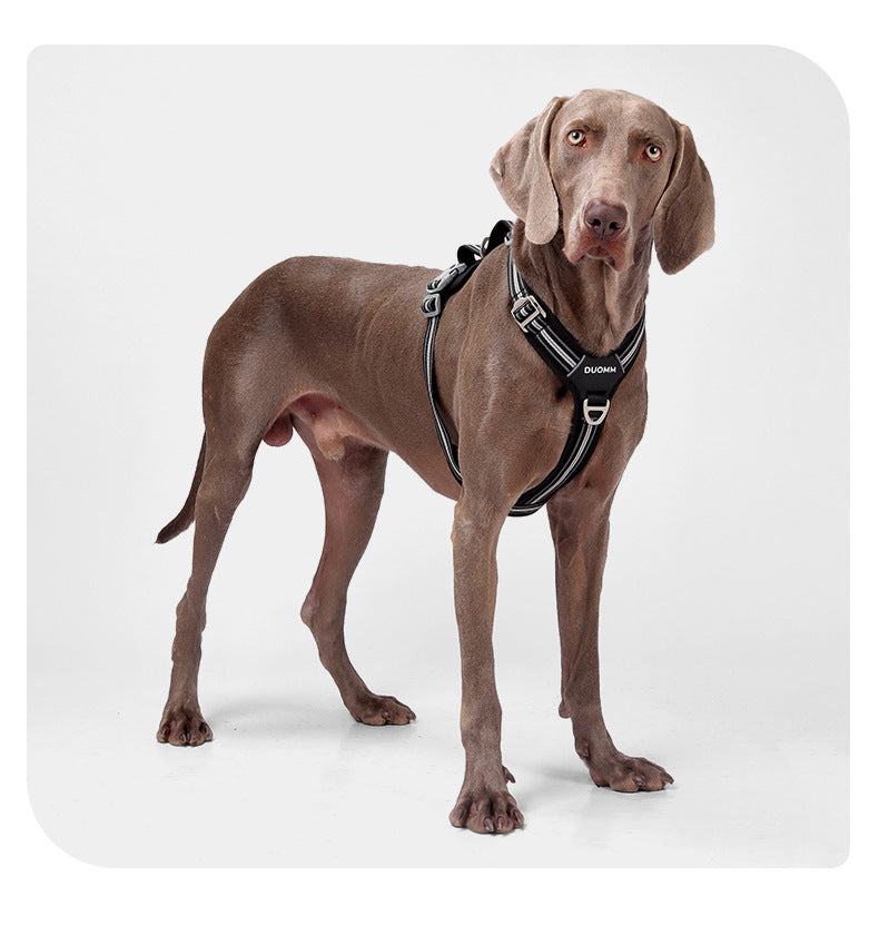 Water-Resistant No-Pull Dog Harness & Leash Set – Reflective Adjustable Walking Harness for Dogs