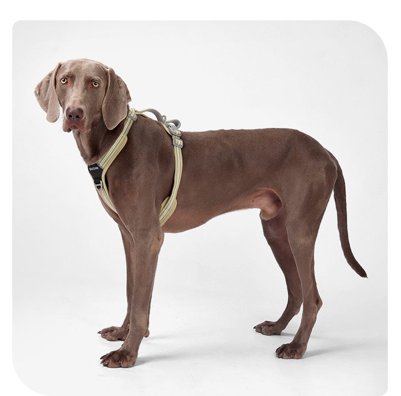 Water-Resistant No-Pull Dog Harness & Leash Set – Reflective Adjustable Walking Harness for Dogs