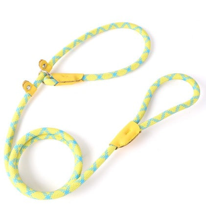 Adjustable Slip Lead Dog Leash – Lightweight Nylon Rope Training Leash with Stopper