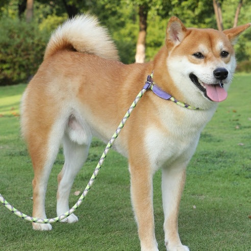 Adjustable Slip Lead Dog Leash – Lightweight Nylon Rope Training Leash with Stopper