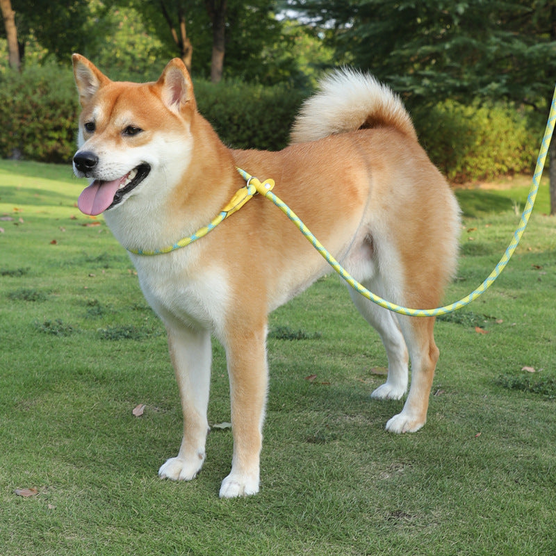 Adjustable Slip Lead Dog Leash – Lightweight Nylon Rope Training Leash with Stopper