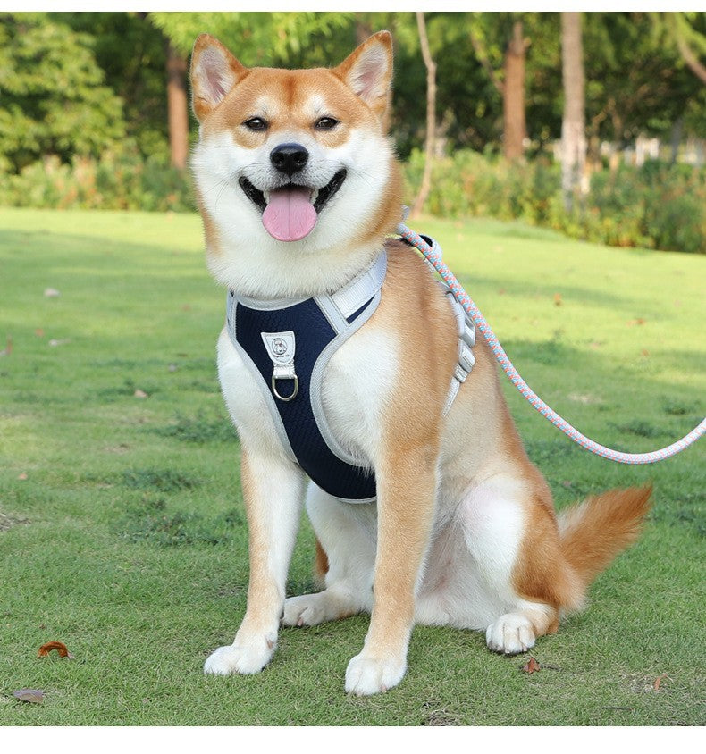 Adjustable Slip Lead Dog Leash – Lightweight Nylon Rope Training Leash with Stopper