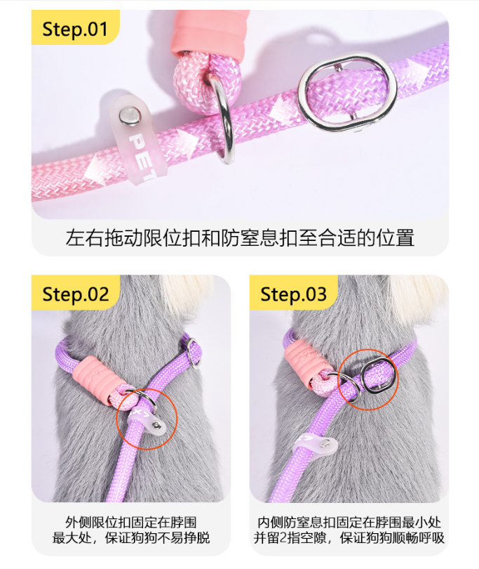 Gradient Anti-Tangle Slip Lead Dog Leash with Padded Handle & Dual Safety Stoppers
