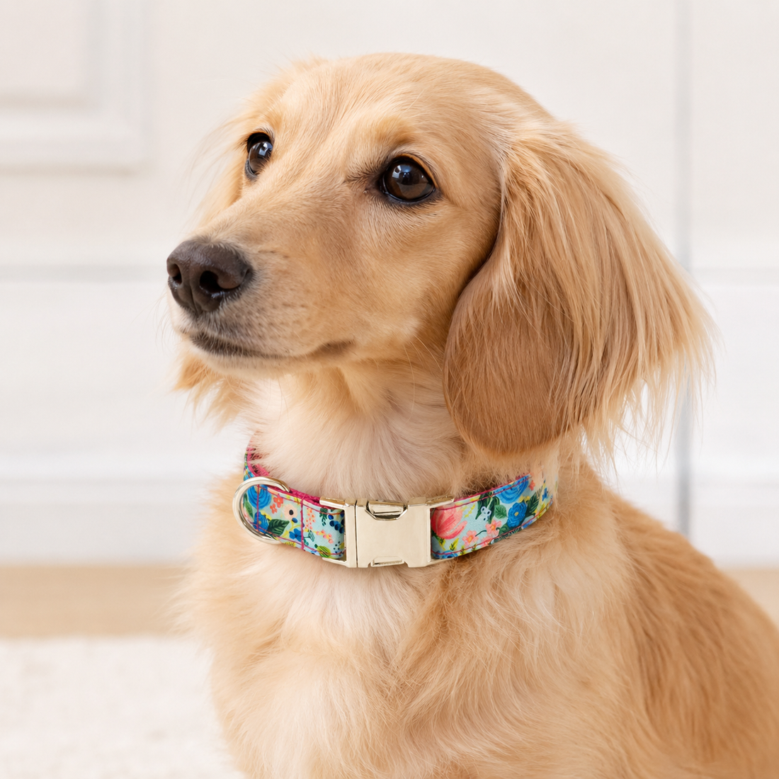 Adjustable Printed Dog Collar with Metal Buckle – Soft Fabric Collar for Small to Large Dogs