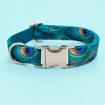Adjustable Patterned Dog Collar with Gold Metal Buckle