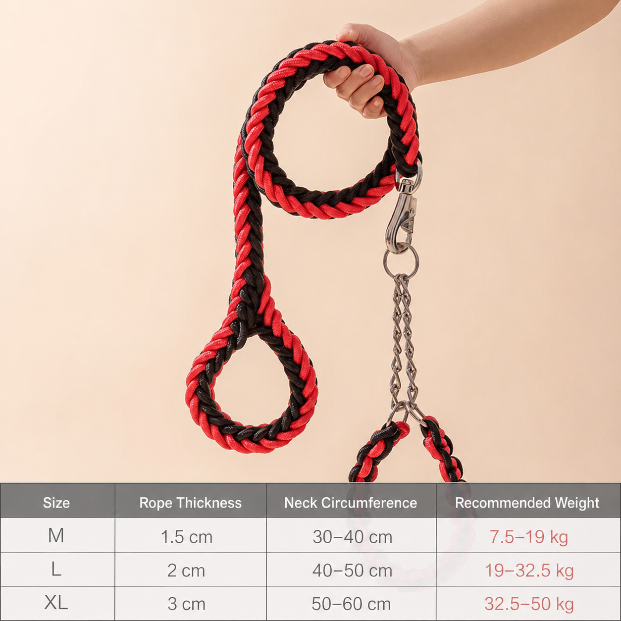 Heavy-Duty Braided Dog Leash & Slip Collar Set – 8-Strand Anti-Pull Rope