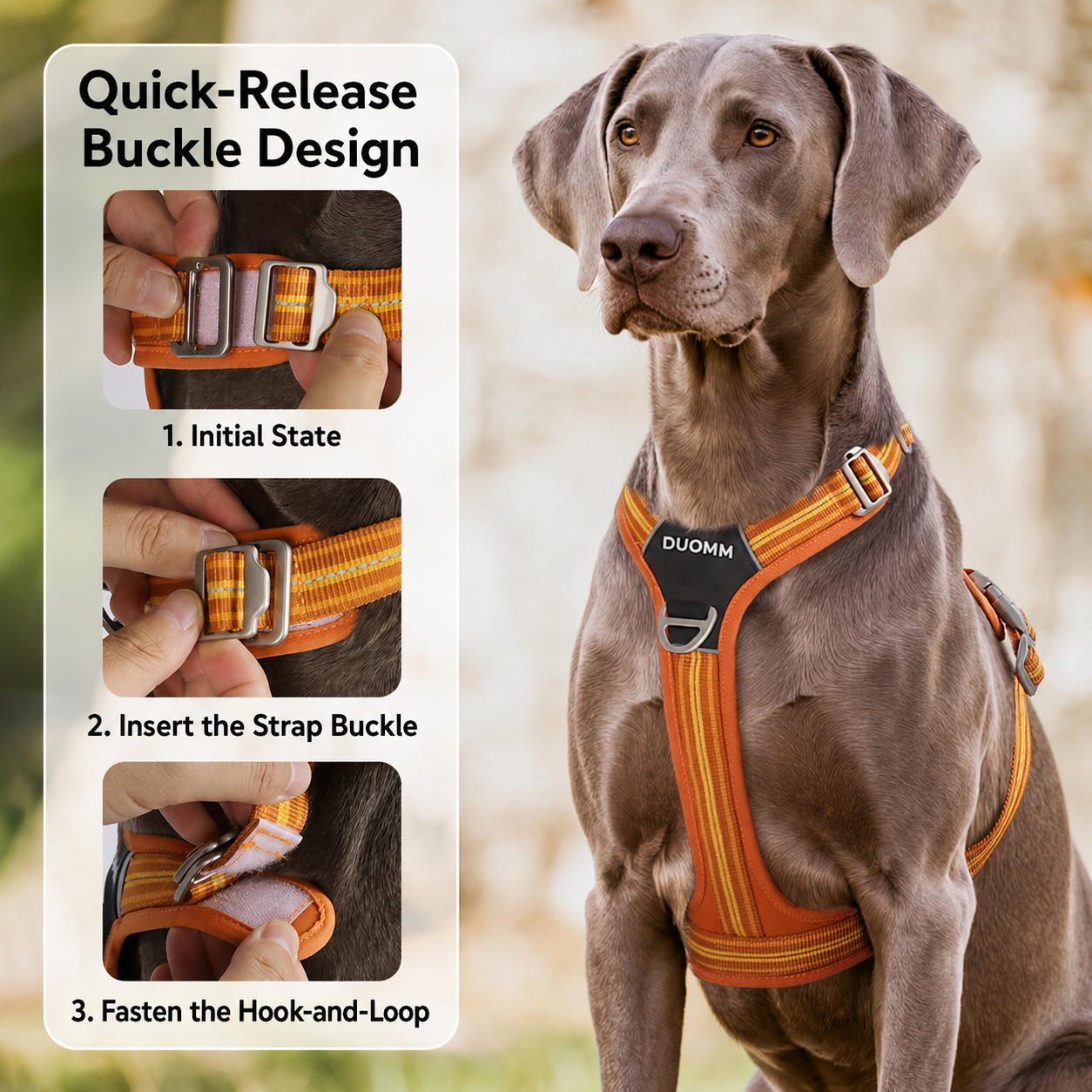 Water-Resistant No-Pull Dog Harness & Leash Set – Reflective Adjustable Walking Harness for Dogs