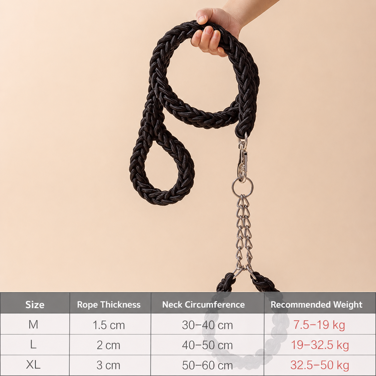 Heavy-Duty Braided Dog Leash & Slip Collar Set – 8-Strand Anti-Pull Rope