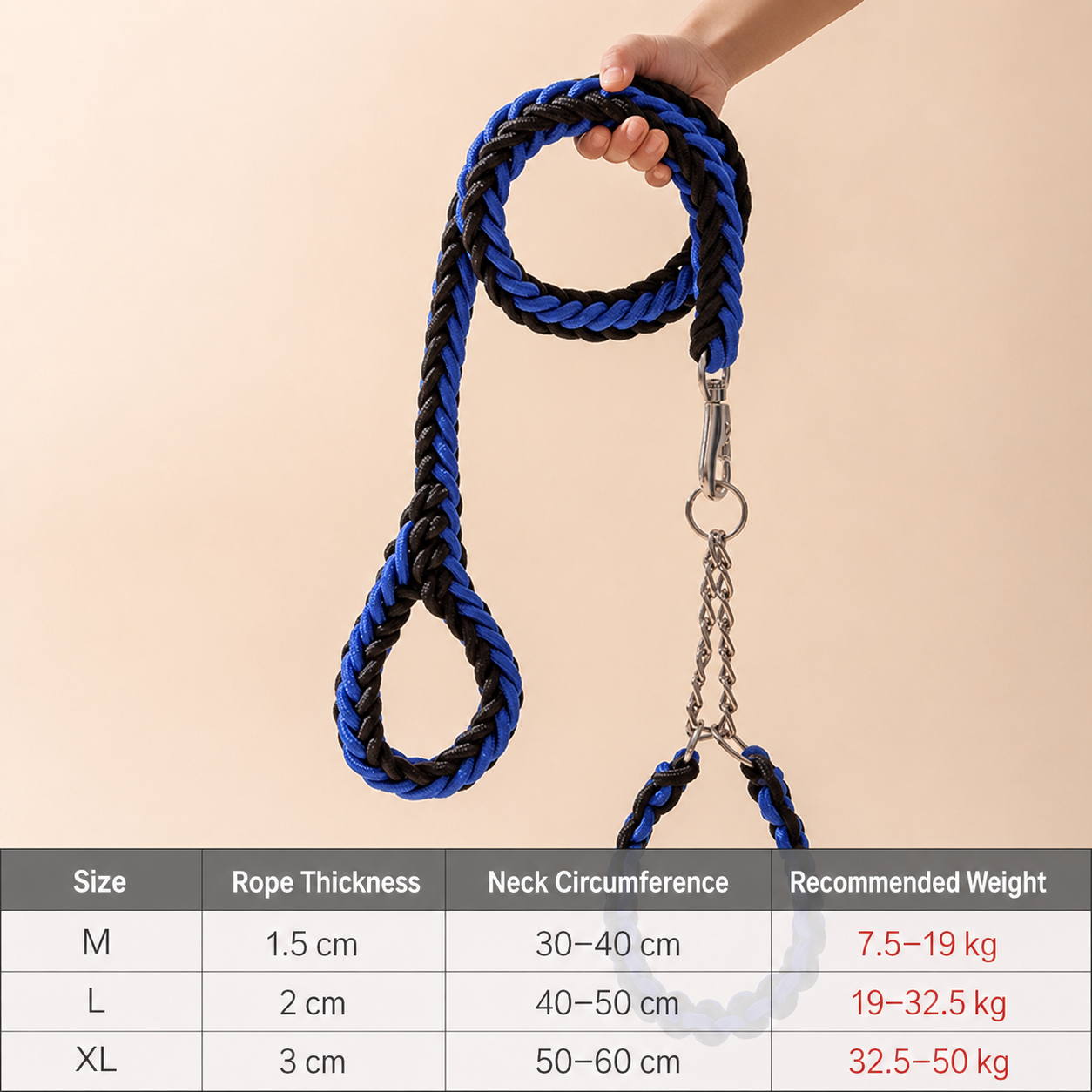 Heavy-Duty Braided Dog Leash & Slip Collar Set – 8-Strand Anti-Pull Rope
