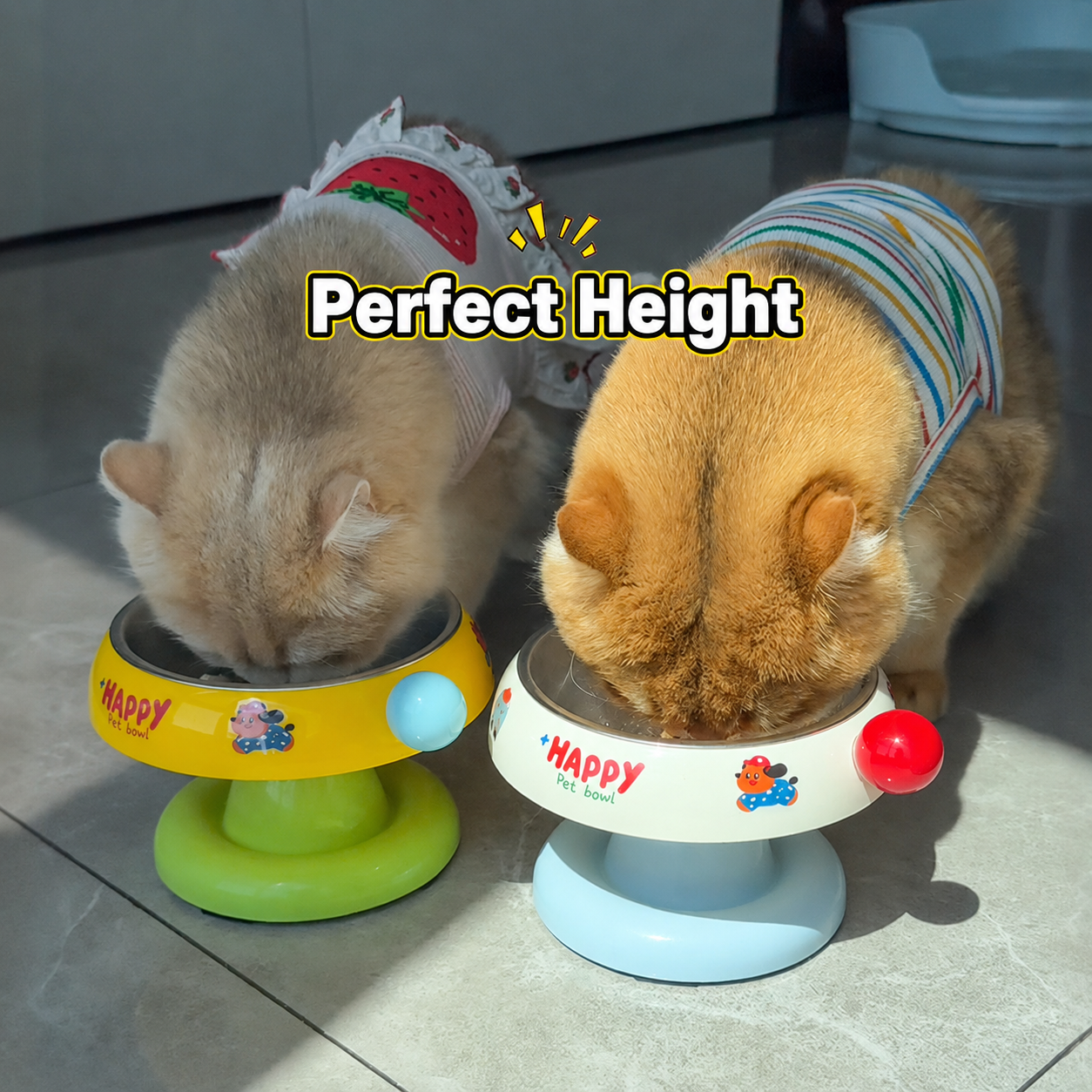 Elevated Tilted Stainless Steel Cat Bowl – Removable Non-Slip Raised Pet Feeder