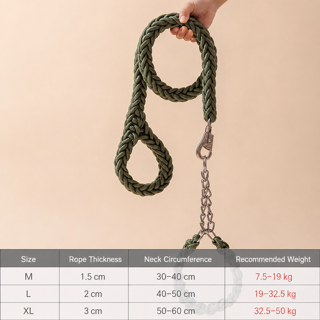 Heavy-Duty Braided Dog Leash & Slip Collar Set – 8-Strand Anti-Pull Rope